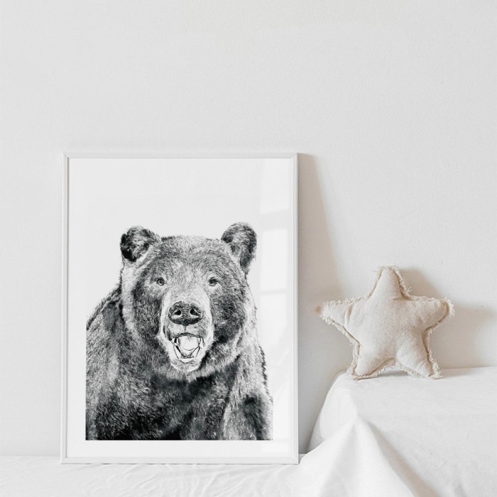 Αφίσα Poster Αρκούδα με κορνίζα