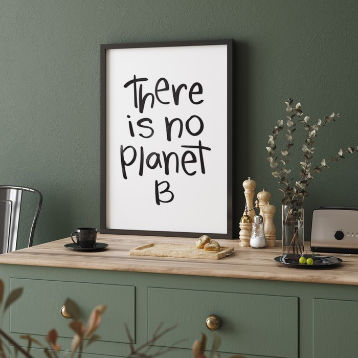 Αφίσα Poster There is no planet B με κορνίζα