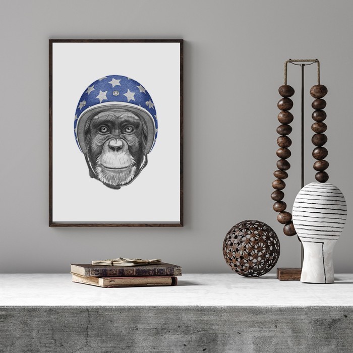 Αφίσα - Poster Πίθηκος με κράνος με κορνίζα