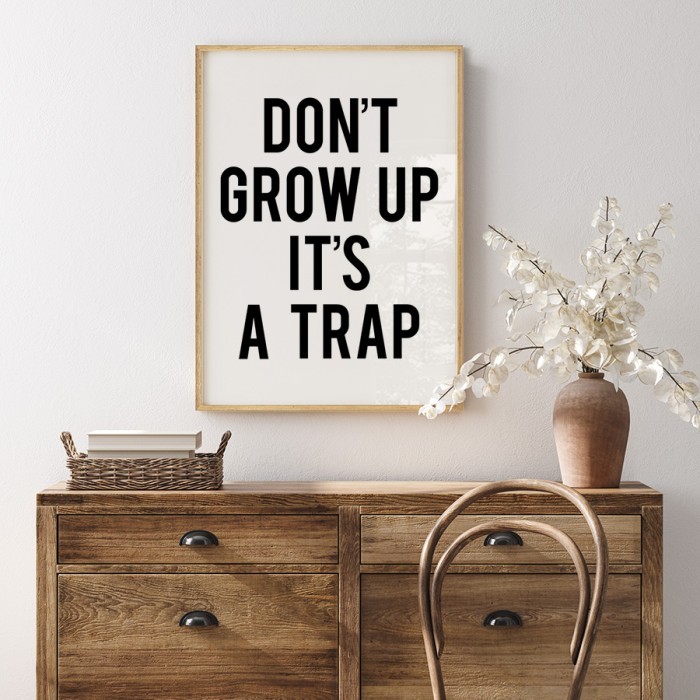 Αφίσα Poster Don't grow up, it's a trap με κορνίζα