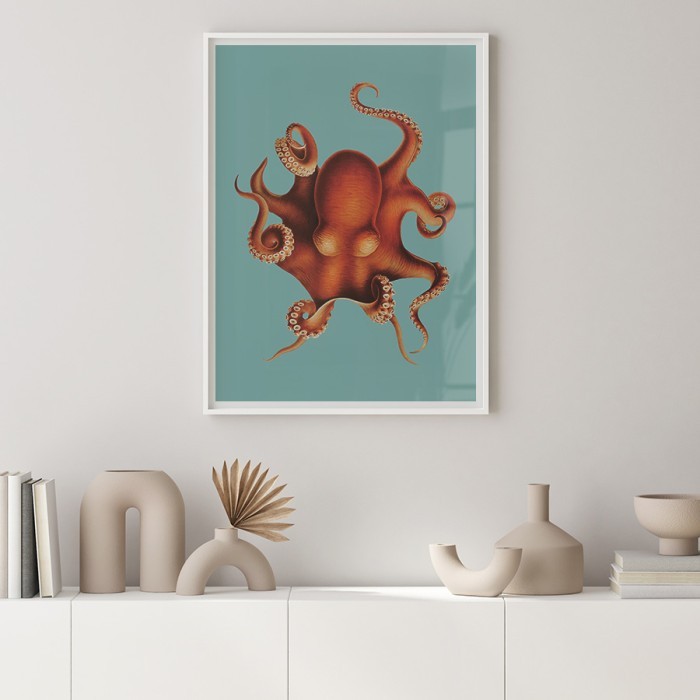 Αφίσα-Poster Octapus με κορνίζα 