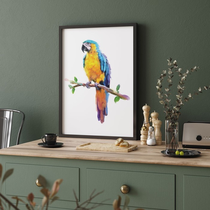 Αφίσα Poster Πολύχρωμος παπαγάλος με κορνίζα