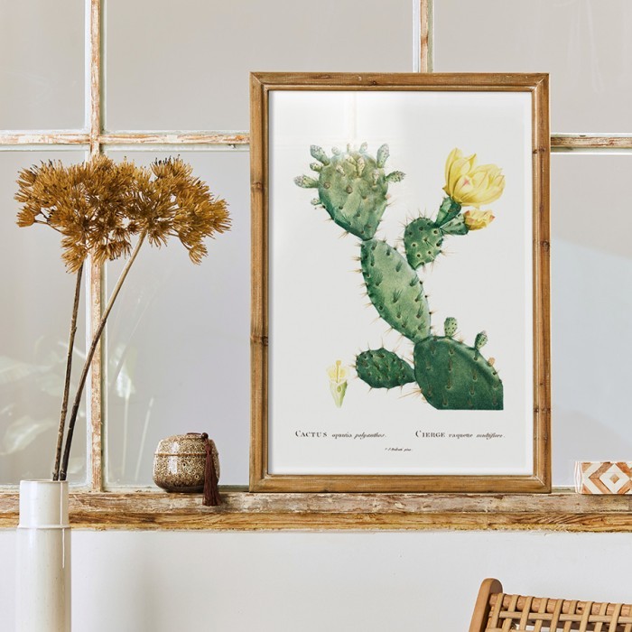 Αφίσα Poster Cactus με κορνίζα