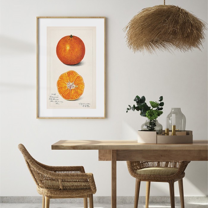 Αφίσα Poster Πορτοκάλι για σαλόνι