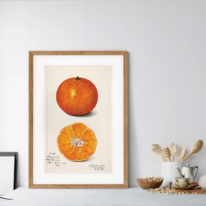 Αφίσα Poster Πορτοκάλι με κορνίζα