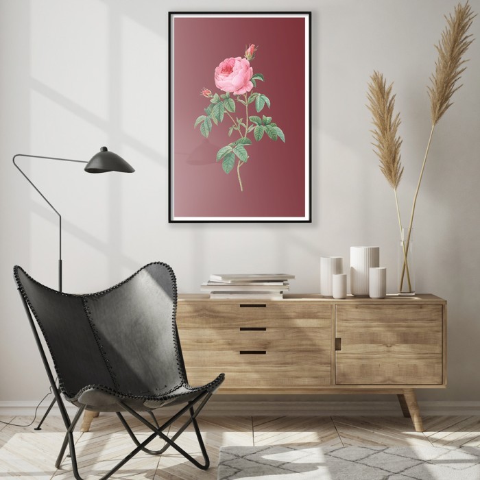 Αφίσα Poster Ροζ τριαντάφυλλο σε μπορντό φόντο δωματίου