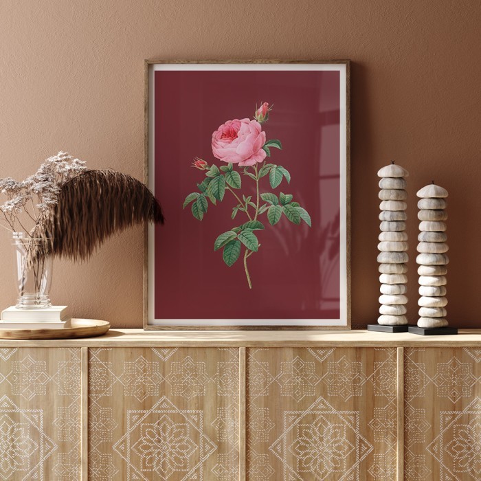 Αφίσα Poster Ροζ τριαντάφυλλο σε μπορντό φόντο με κορνίζα