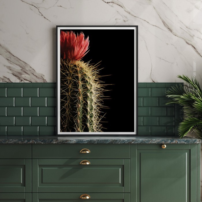 Αφίσα Poster Flowering cactus με κορνίζα