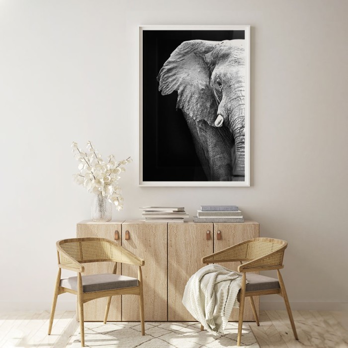 Αφίσα δωματίου Ελέφαντας σε Μαύρο Φόντο