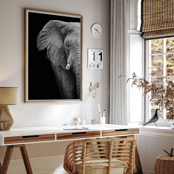 Αφίσα-Poster Ελέφαντας σε Μαύρο Φόντο με κορνίζα 