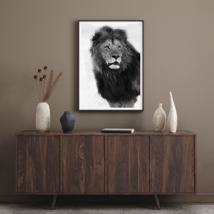 Poster Λιοντάρι, ο βασιλιάς της ζούγκλας για σαλόνι