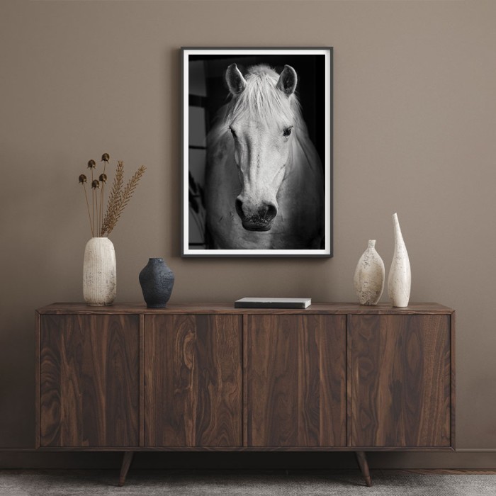 Poster Άσπρο άλογο για σαλόνι