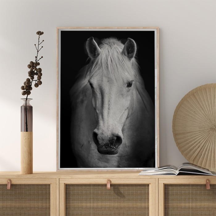 Αφίσα-Poster Άσπρο άλογο με κορνίζα 