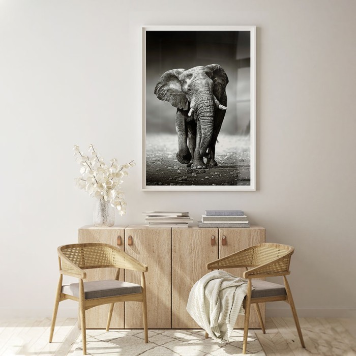 Poster Ελέφαντας που τρέχει για σαλόνι