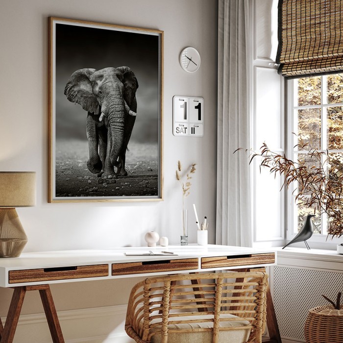 Αφίσα-Poster Ελέφαντας που τρέχει με κορνίζα