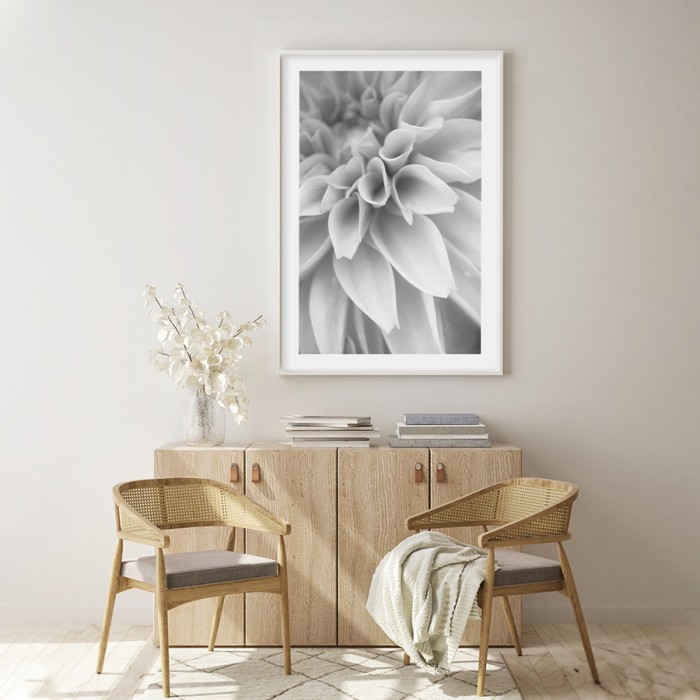Αφίσα Poster Άσπρο λουλούδι δωματίου
