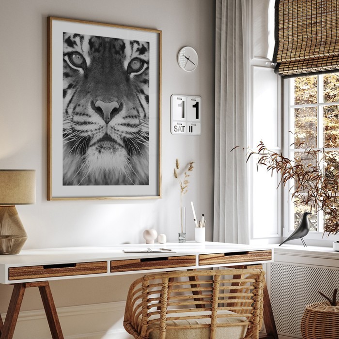 Αφίσα-Poster Επιβλητική Τίγρης με κορνίζα 