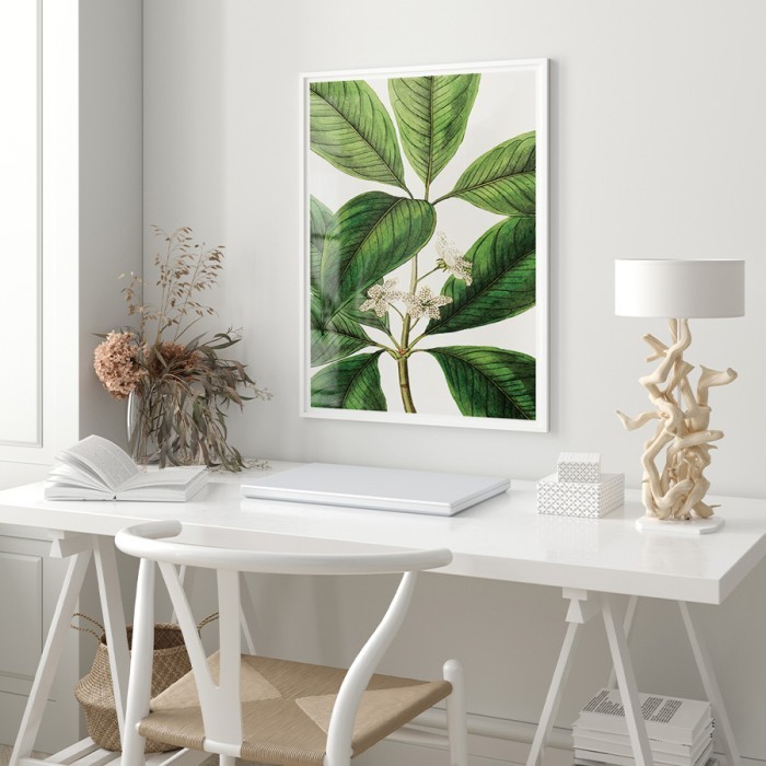 Αφίσα Poster Καταπράσινο φυτό με κορνίζα