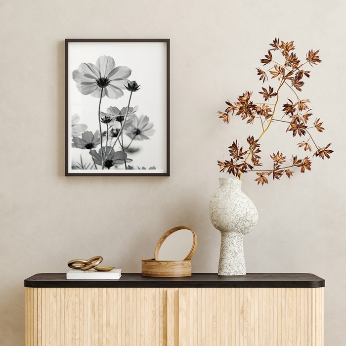 Αφίσα Poster Ασπρόμαυρο λουλούδι δωματίου