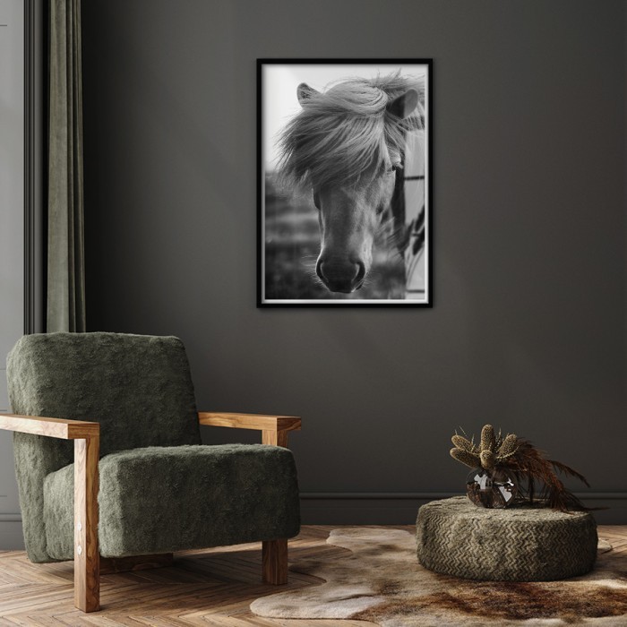 Poster Άλογο με πλούσια Χαίτη για σαλόνι