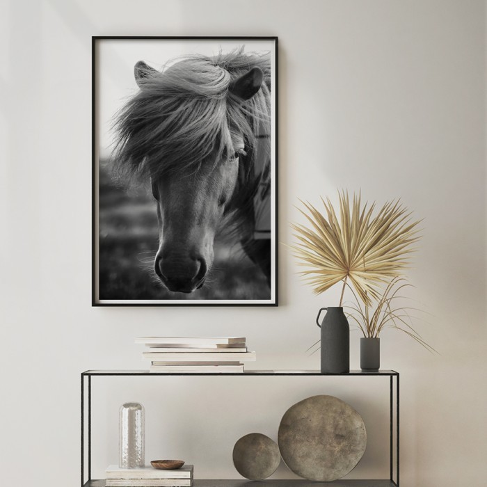Αφίσα-Poster Άλογο με πλούσια Χαίτη με κορνίζα 