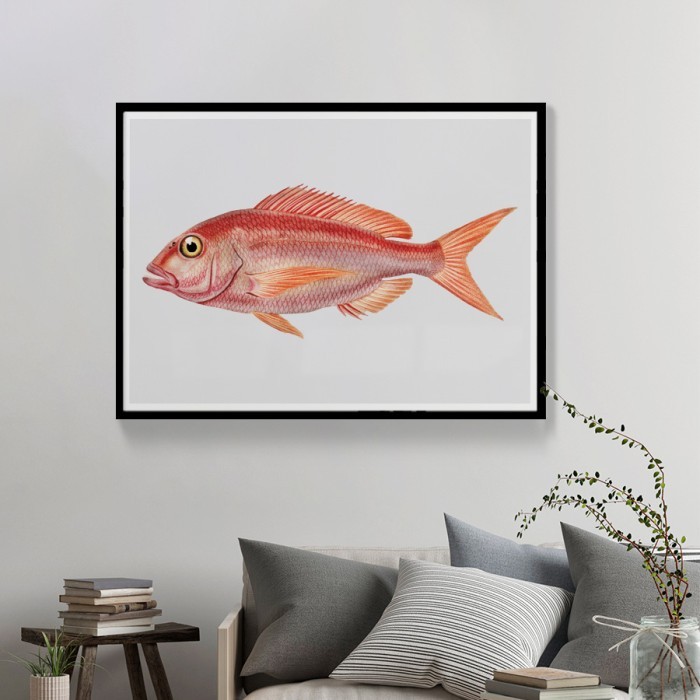Αφίσα-Poster Κόκκινο ψάρι με κορνίζα 