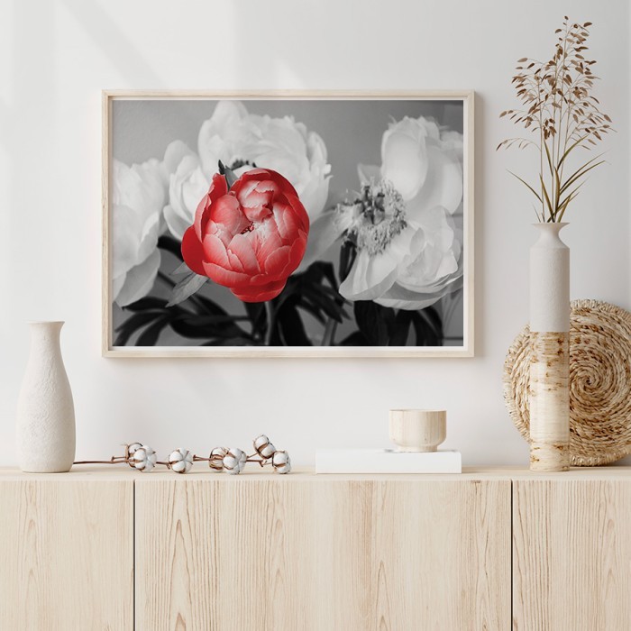 Αφίσα Poster Κόκκινα και άσπρα λουλούδια με κορνίζα