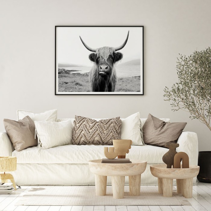 Poster Highland Cow για σαλόνι