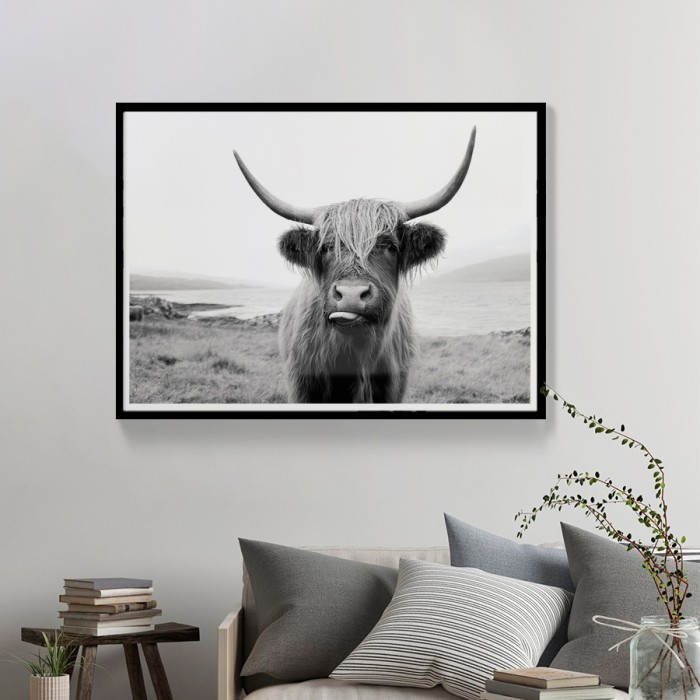 Αφίσα-Poster Highland Cow με κορνίζα 