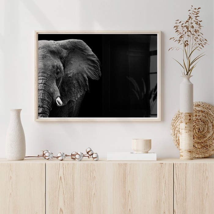 Αφίσες δωματίου Σκοτεινός Ελέφαντας