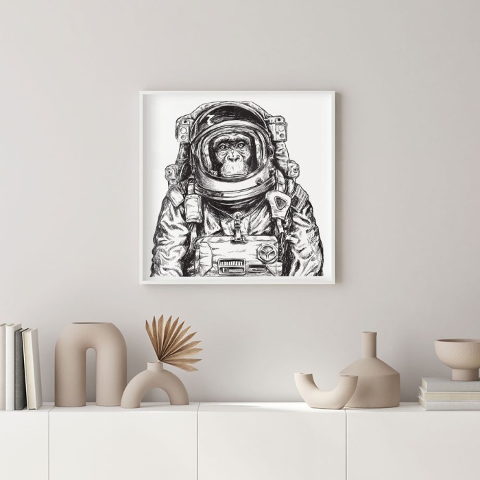 Αφίσες δωματίου Μαϊμού αστροναύτης