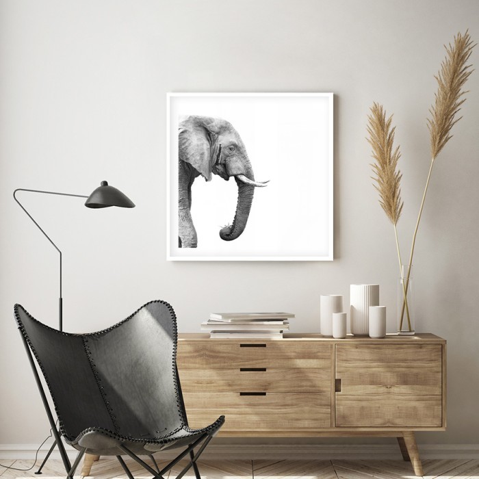 Poster Ελέφαντας για σαλόνι