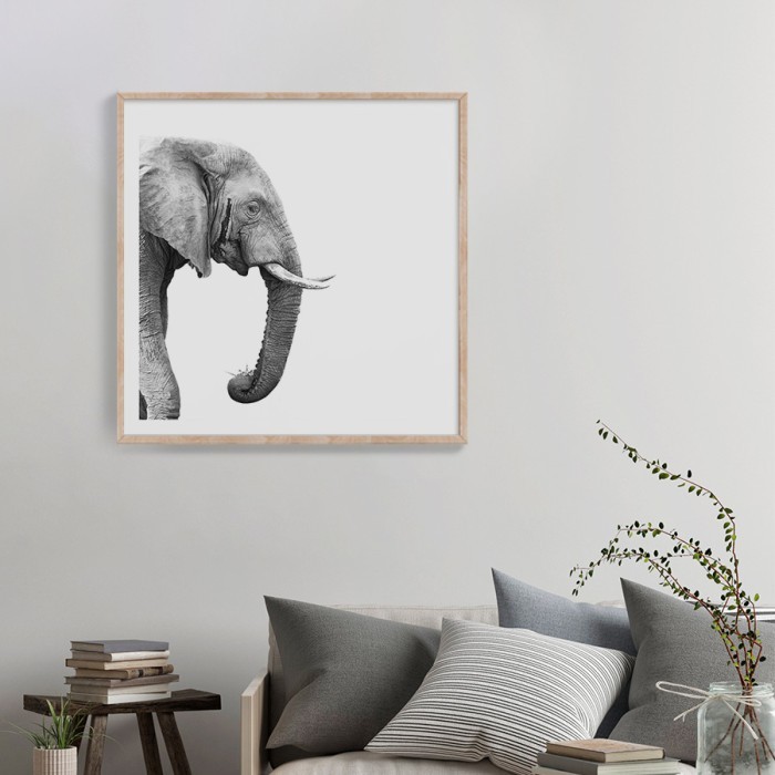 Αφίσα-Poster Ελέφαντας με κορνίζα