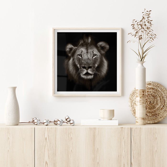 Poster Lion photography για σαλόνι