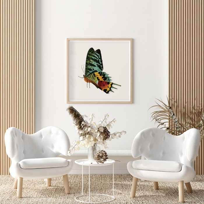 Αφίσα-Poster Πολύχρωμη πεταλούδα με κορνίζα 