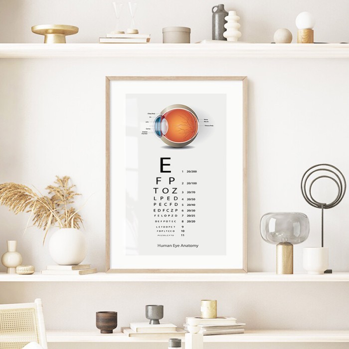 Αφίσα Poster Human eye με κορνίζα