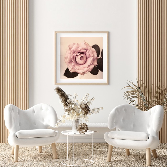 Αφίσα Poster Ροζ τριαντάφυλλο για σαλόνι