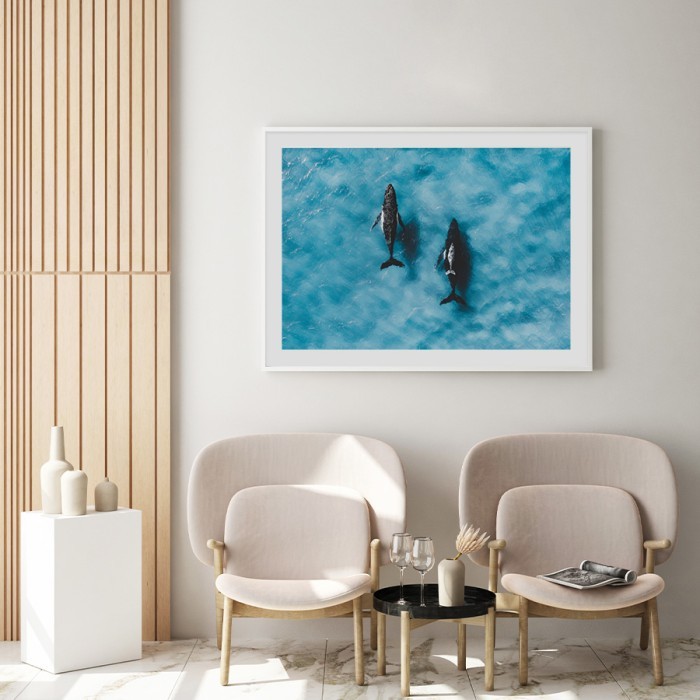 Αφίσα Poster Φάλαινες στον Ωκεανό με κορνίζα