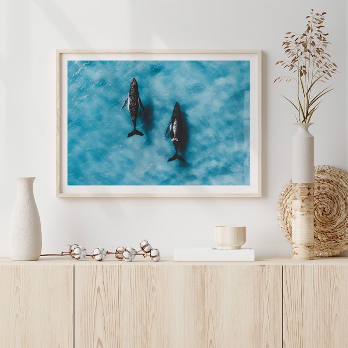 Αφίσα Poster Φάλαινες στον Ωκεανό για σαλόνι