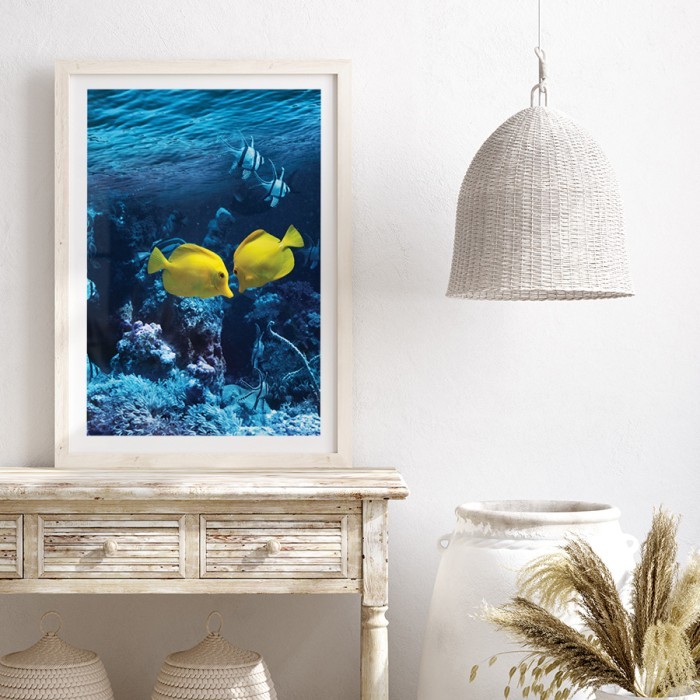 Αφίσα Poster Κίτρινα τροπικά ψάρια με κορνίζα