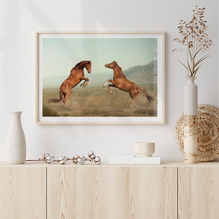 Αφίσα Poster Καφέ άλογα που μάχονται για σαλόνι