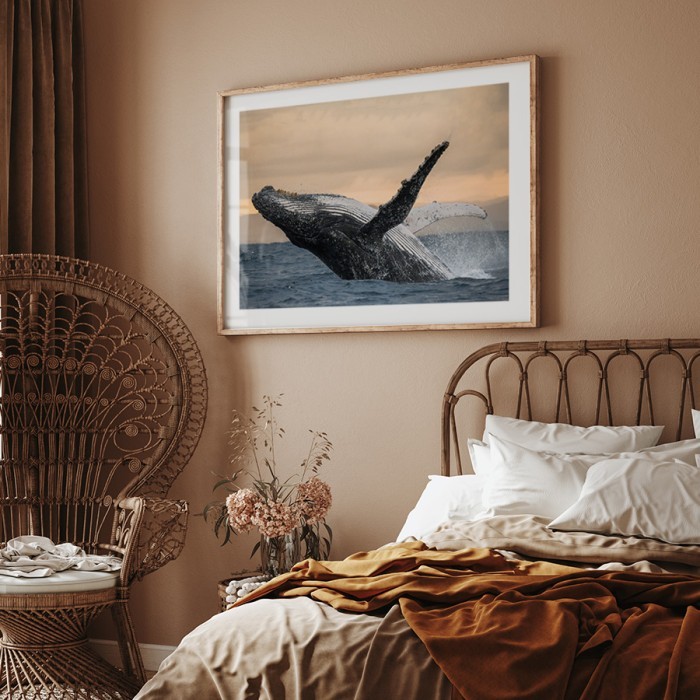 Αφίσα Poster Μεγάπτερη Φάλαινα για κρεβατοκάμαρα