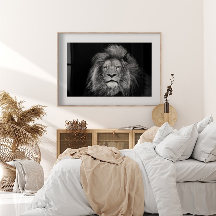 Αφίσα Poster Ασπρόμαυρο λιοντάρι για δωμάτιο 