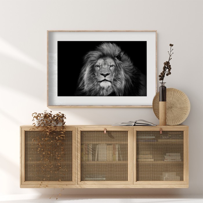 Αφίσα Poster Ασπρόμαυρο λιοντάρι με κορνίζα