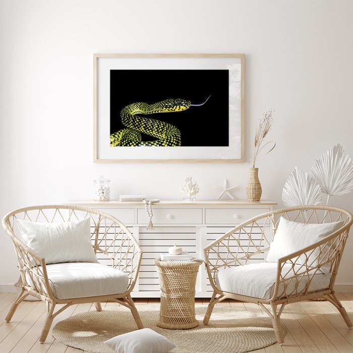 Αφίσα Poster Κιτρινόμαυρο φίδι με κορνίζα
