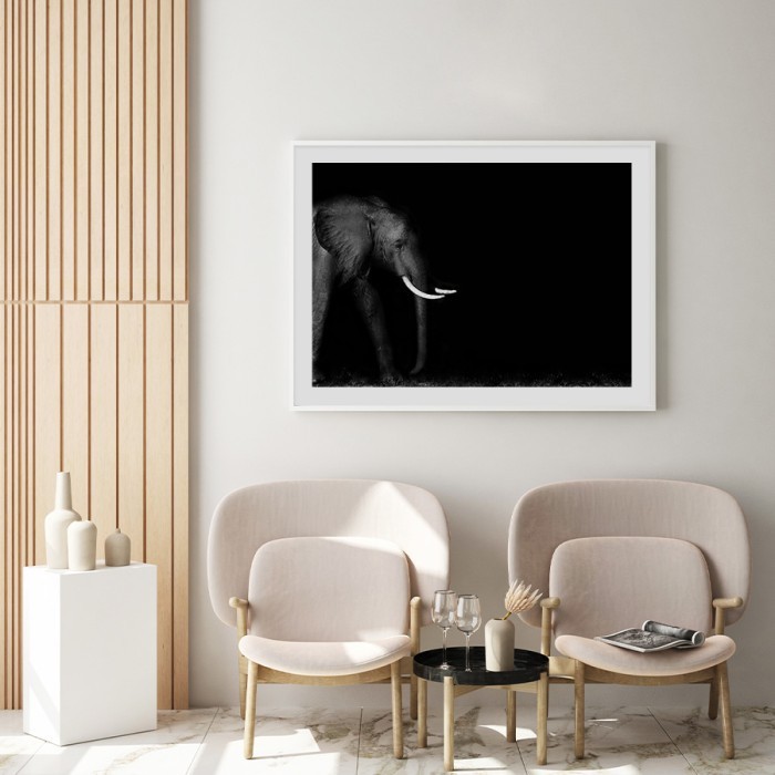 Αφίσα Poster Αφρικανικός ελέφαντας με κορνίζα