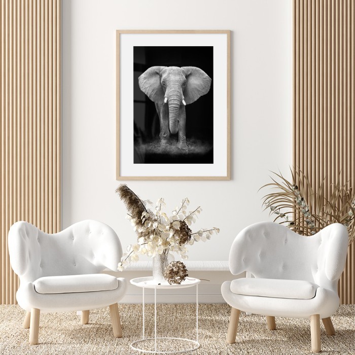 Αφίσα Poster Γκρι ελέφαντας για σαλόνι
