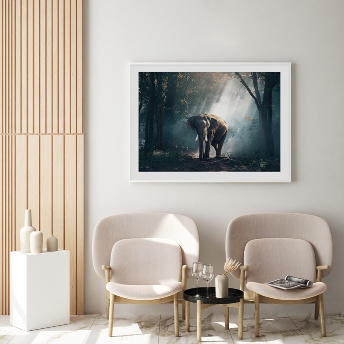 Αφίσα Poster Ελέφαντας στη ζούγκλα για σαλόνι