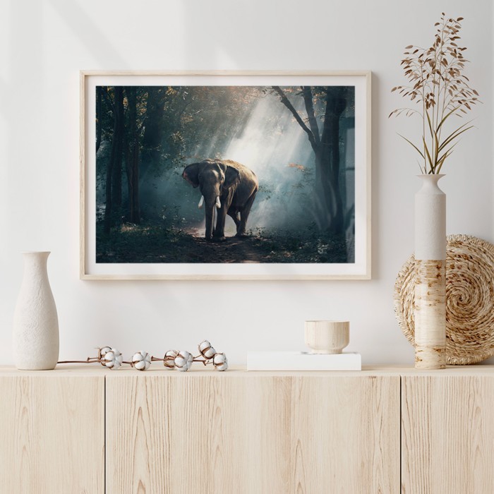 Αφίσα Poster Ελέφαντας στη ζούγκλα με κορνίζα