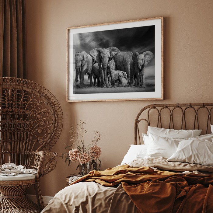 Αφίσα Poster Κοπάδι με ελέφαντες για σαλόνι